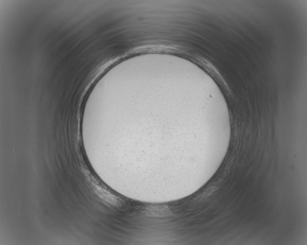 X0000080710844200701121815