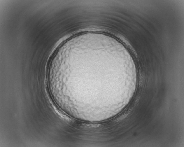 X0000080710845200701121815