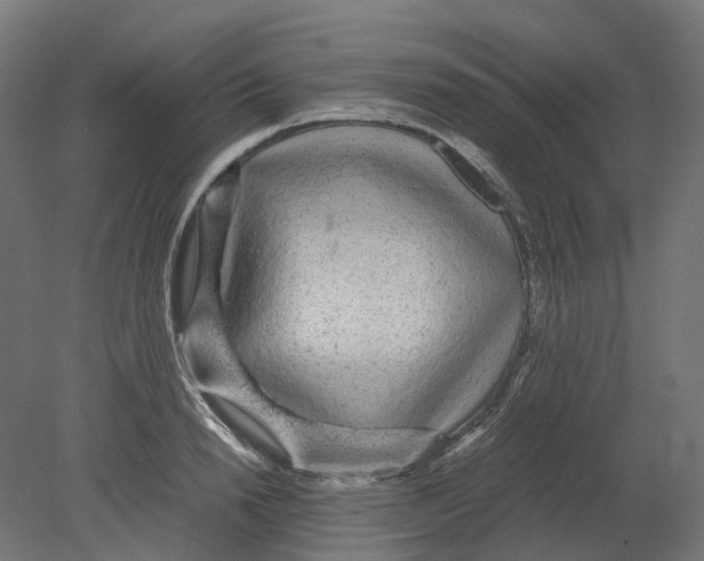 X0000080710846200701121815