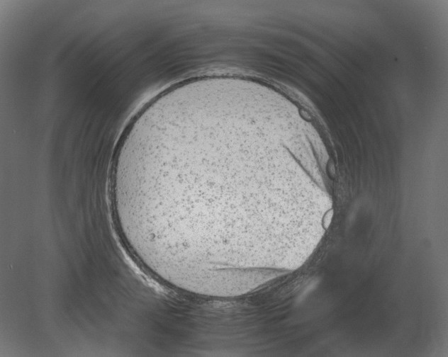 X0000080710847200701121815