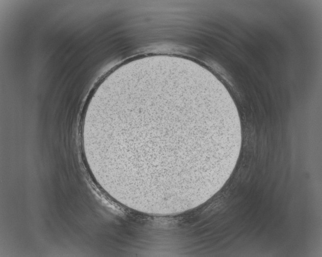 X0000080710848200701121815