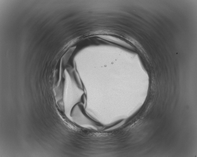 X0000080710849200701121815