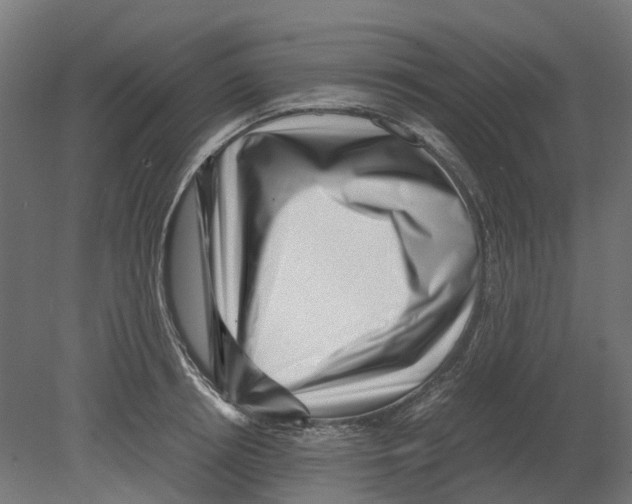 X0000080710850200701121815