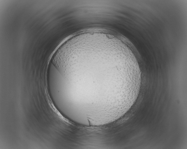 X0000080710852200701121815