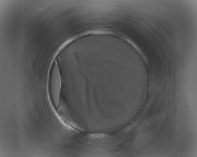 X0000080710853200701121815