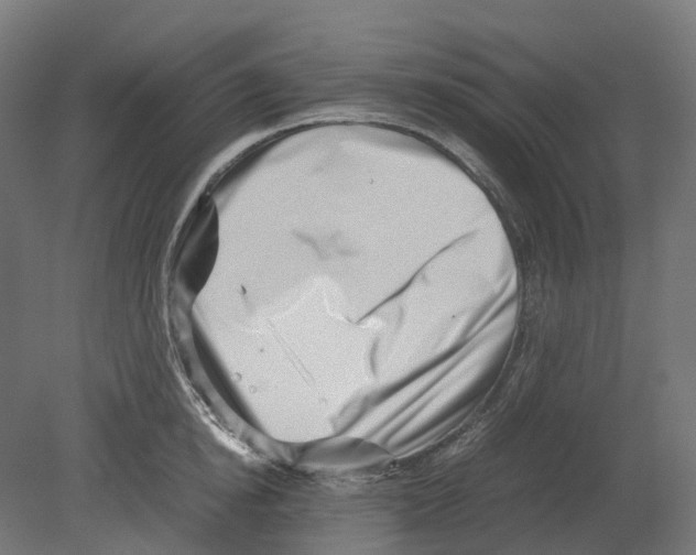 X0000080710854200701121815