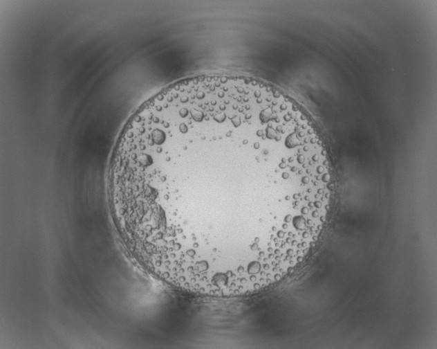 X0000080710856200701121815