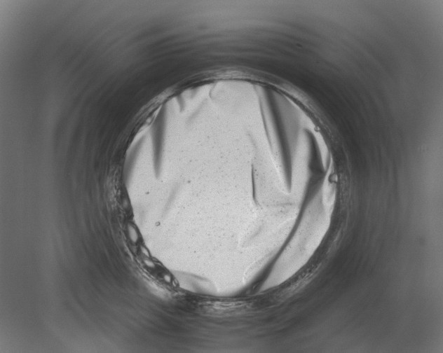 X0000080710857200701121815