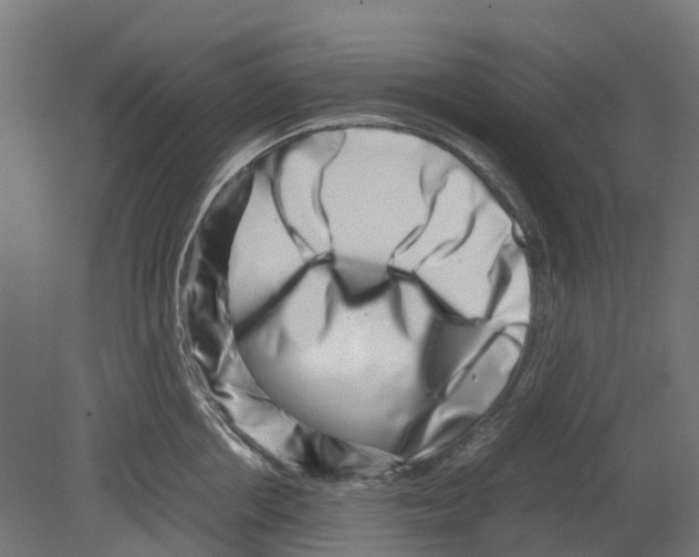 X0000080710858200701121815