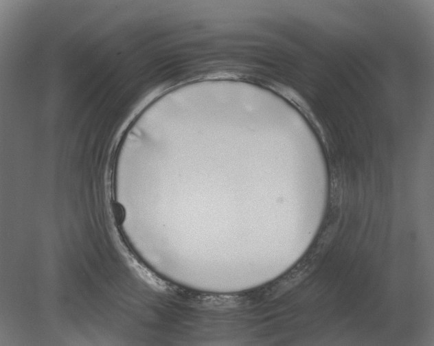 X0000080710859200701121816