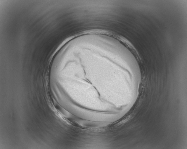 X0000080710860200701121816