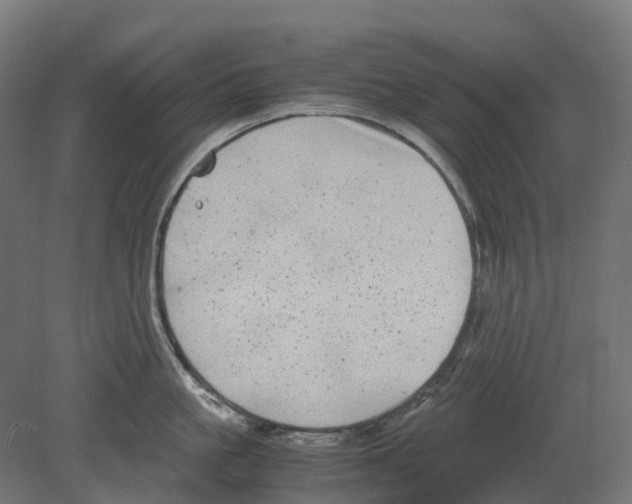 X0000080710861200701121816