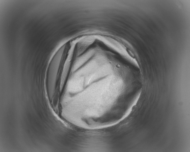 X0000080710863200701121816