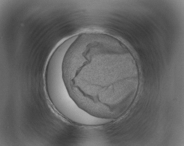 X0000080710864200701121816