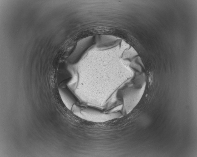 X0000080710867200701121815