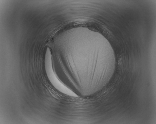 X0000080710868200701121815