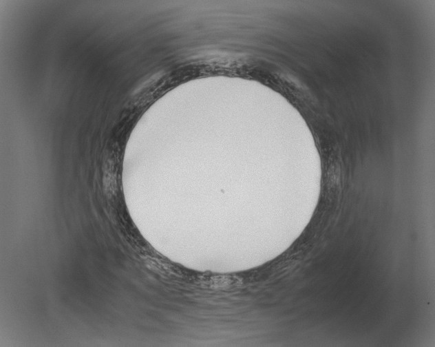 X0000080710869200701121815