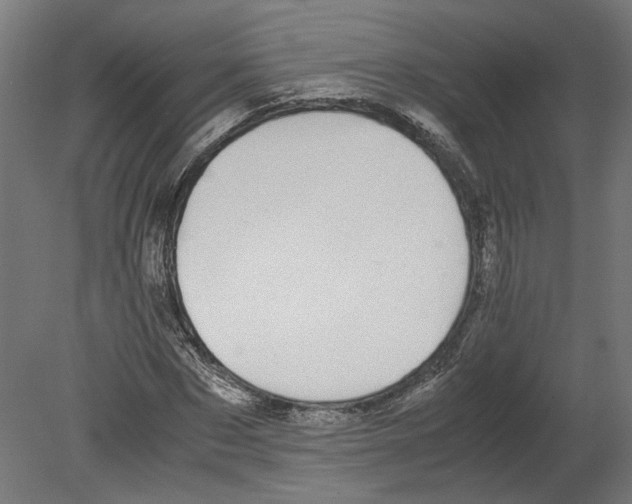 X0000080710873200701121815