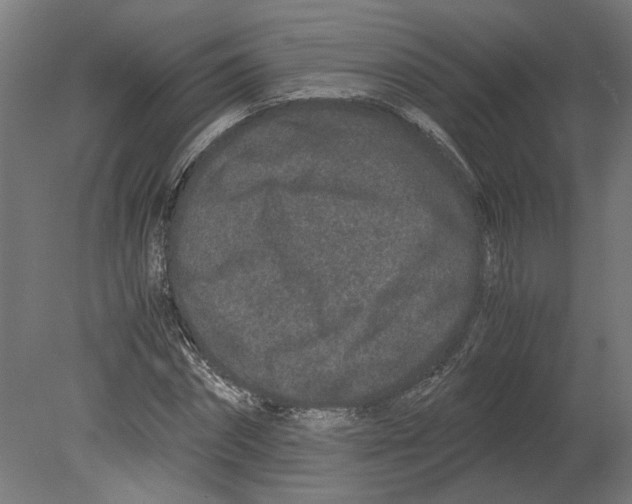 X0000080710874200701121815