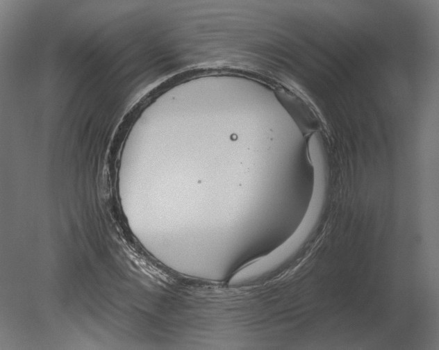 X0000080710876200701121815