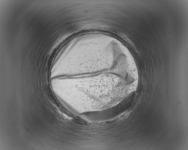 X0000080710877200701121815