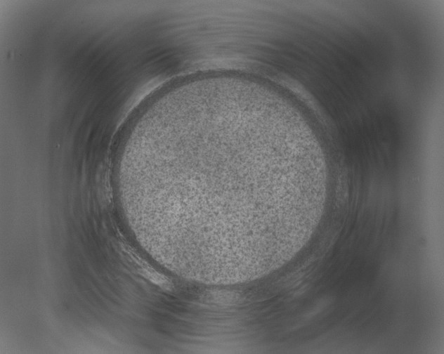 X0000080710878200701121815