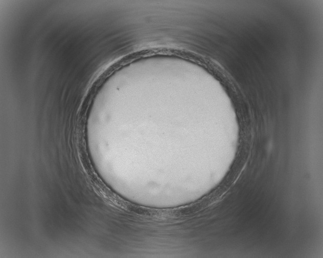 X0000080710879200701121815