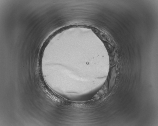 X0000080710880200701121815