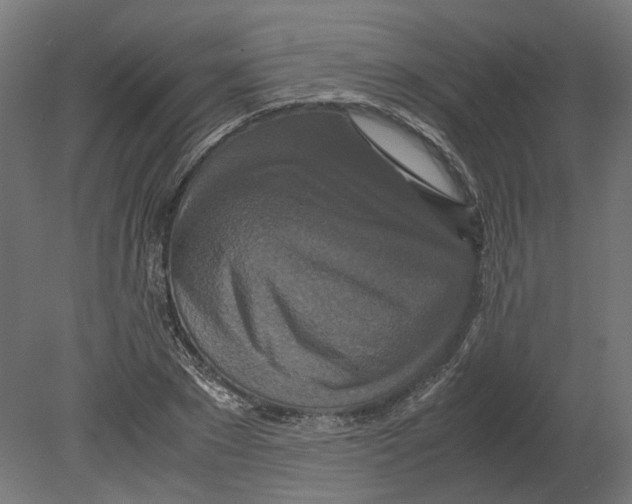 X0000080710881200701121815