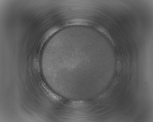 X0000080710882200701121814