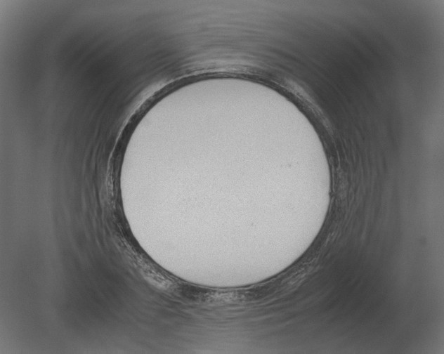 X0000080710883200701121814