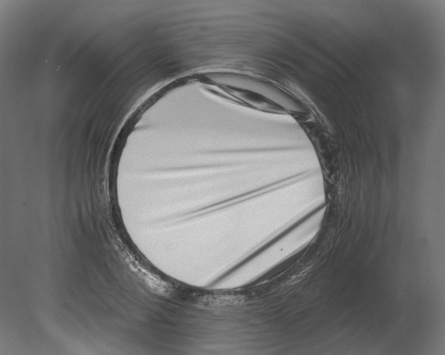 X0000080710884200701121814