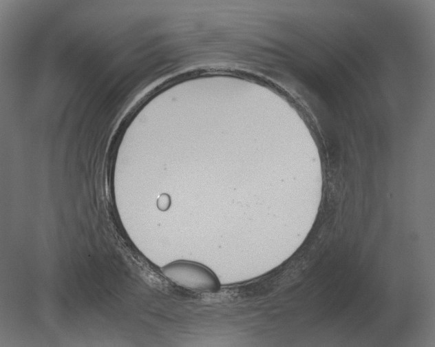 X0000080710887200701121814