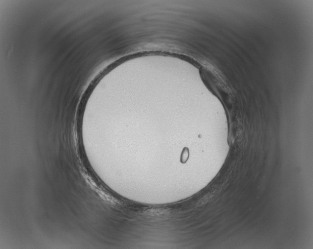 X0000080710888200701121814