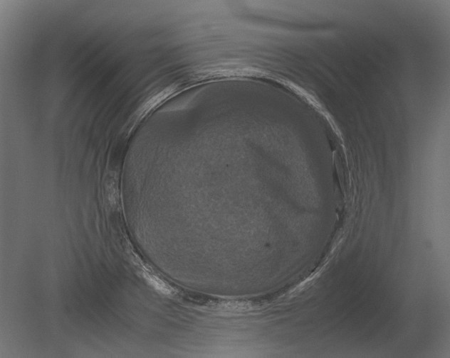 X0000080710889200701121814