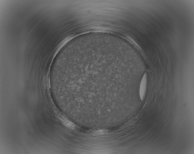 X0000080710891200701121814