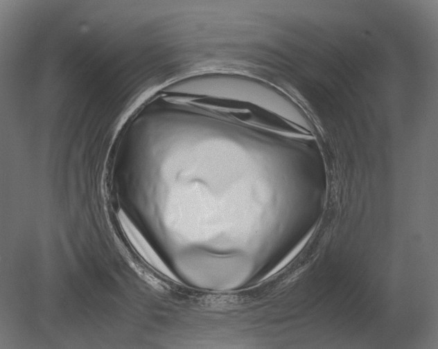 X0000080710893200701121814