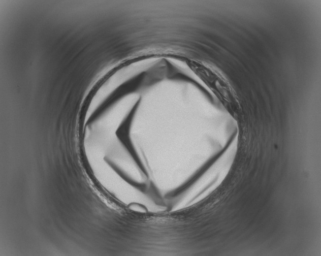 X0000080710894200701121814