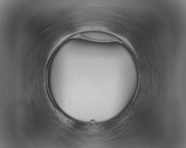 X0000080710895200701121814