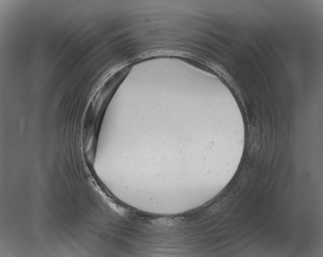 X0000080710898200701121814