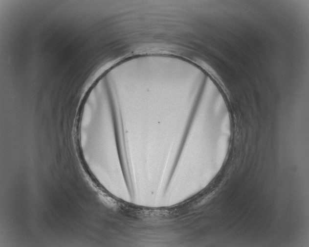 X0000080710901200701121814