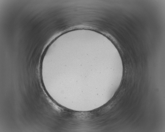 X0000080710902200701121814