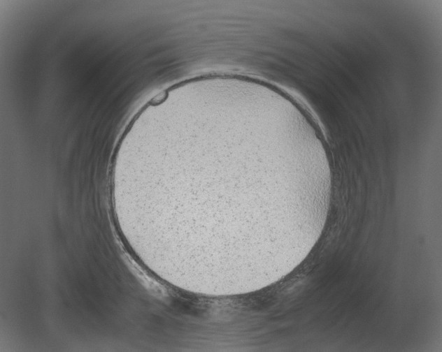 X0000080710903200701121814