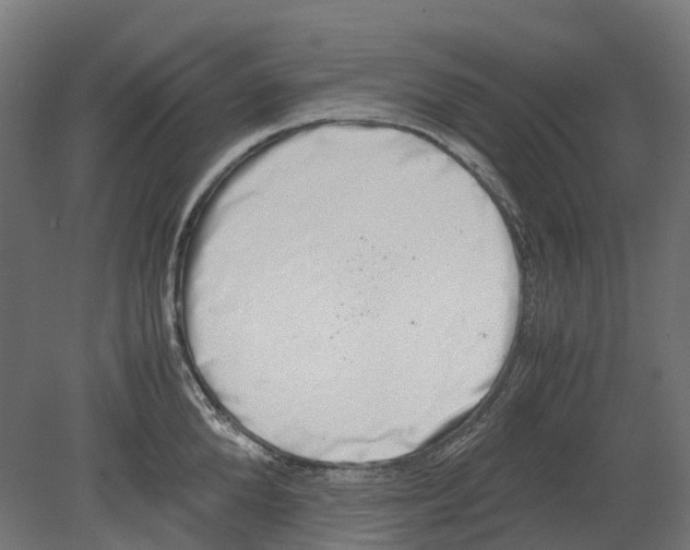 X0000080710904200701121814