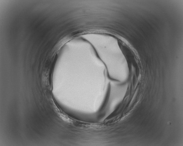 X0000080710905200701121814