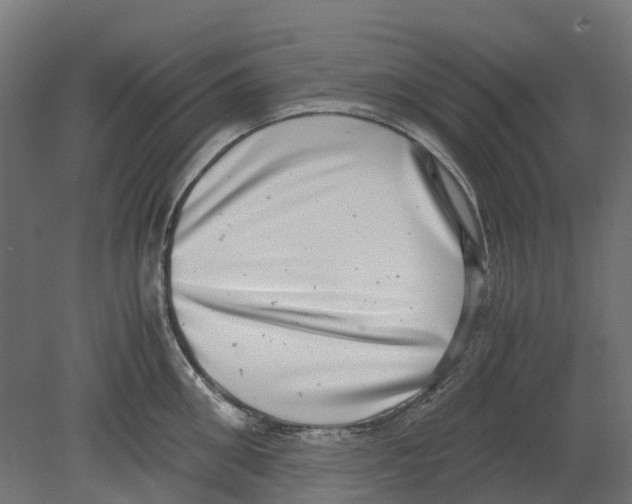 X0000080710906200701121814