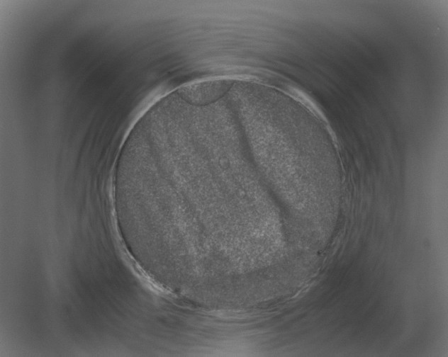 X0000080710907200701121814