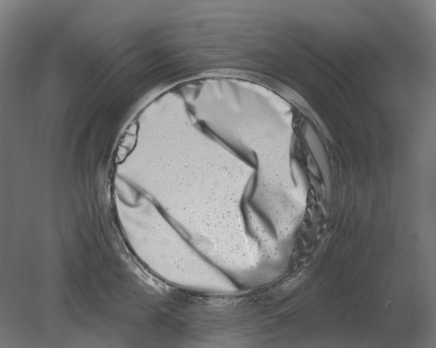 X0000080710908200701121814