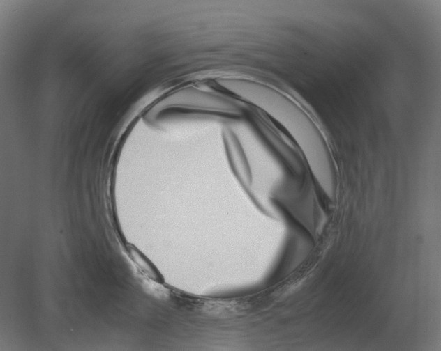 X0000080710909200701121814