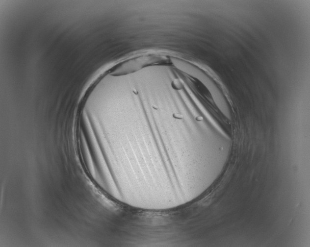 X0000080710910200701121814